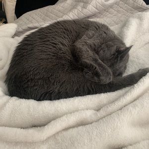 Meet your Posher, Tina